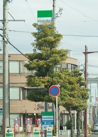 9251号2枚目の写真