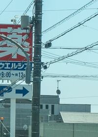 9329号2枚目の写真