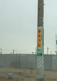 9155号2枚目の写真