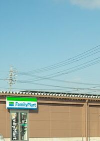 9151号2枚目の写真