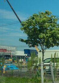 9387号2枚目の写真