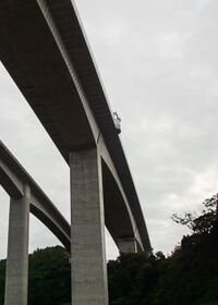 9447号2枚目の写真